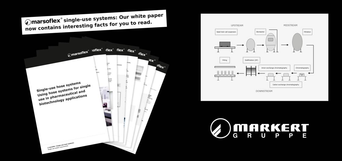 news-header-white-paper-single-use-en