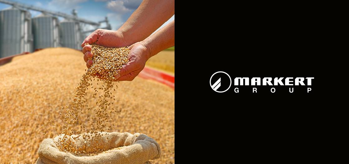 headergrafik_lebensmittelschlaeuche